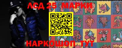 дживик Камышлов