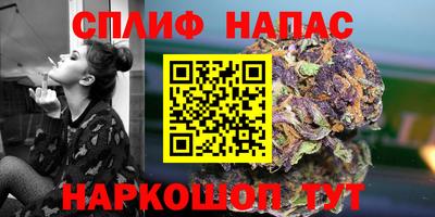 дживик Камышлов