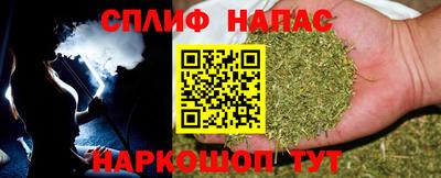 дживик Камышлов