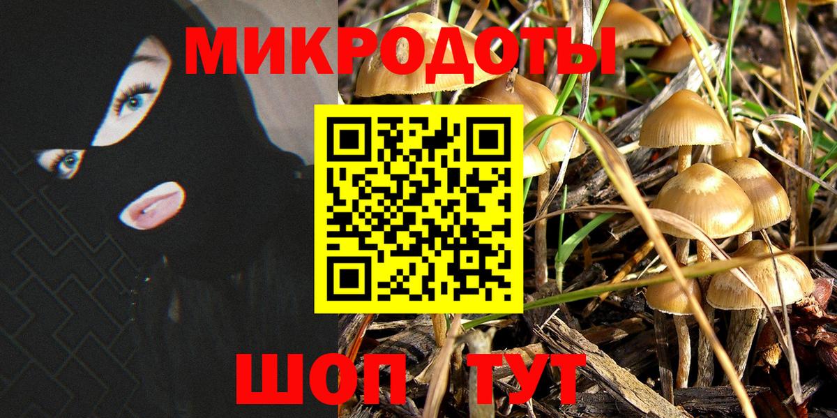 Псилоцибиновые грибы ЛСД Балтийск